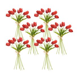 Spring Red Tulip Bundle (Set of 6)