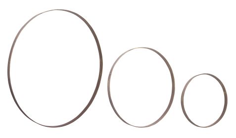 Iron Metal Rings Wall Display (Set of 3)