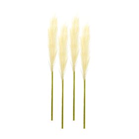Cream Pampas Gass Stem (Set of 4)