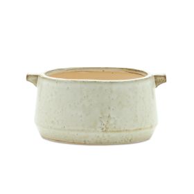 Rustic Terra Cotta Bowl Planter 8"L