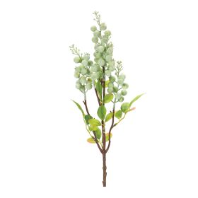 Green Berry Spray (Set of 12)