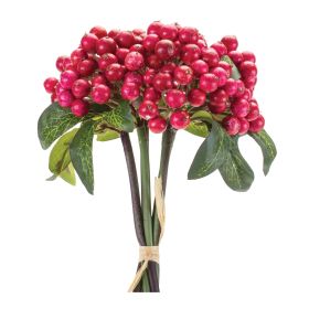 Harvest Cranberry Bundle (Set of 6)