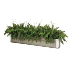 Winter Pine Centerpiece in Wood Planter 29"L