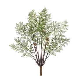 Fern Bush (Set of 2)