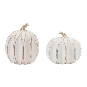 White Washed Pumpkin Décor (Set of 2)